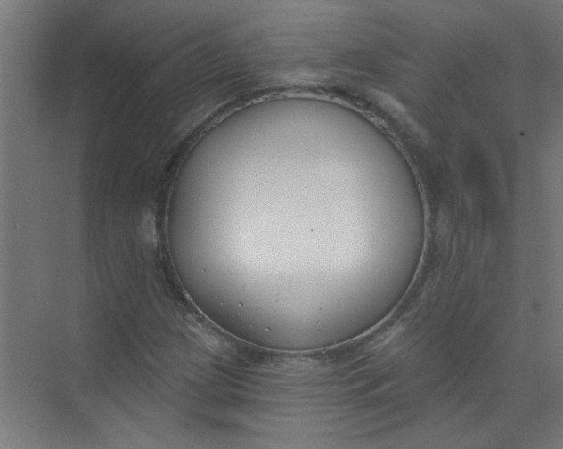 X0000073971209200609051836