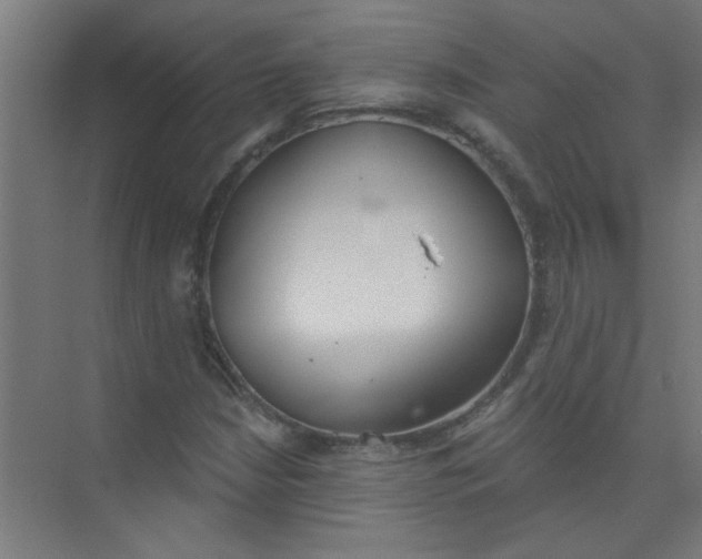 X0000073971210200609051836