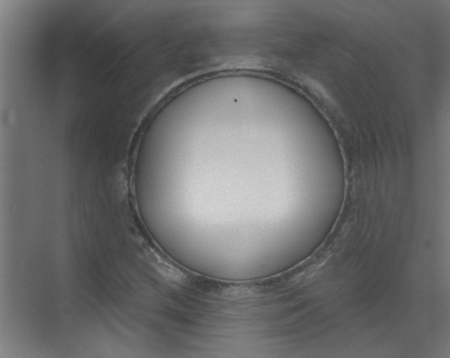 X0000073971212200609051836