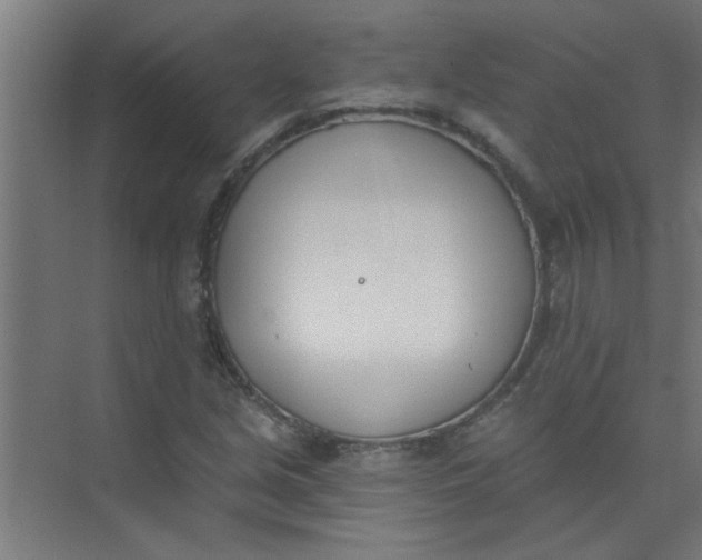 X0000073971213200609051836