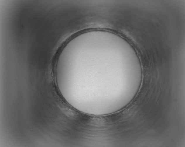 X0000073971215200609051836