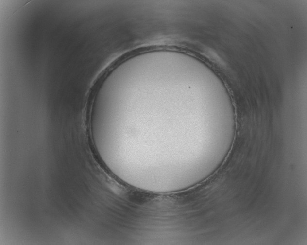 X0000073971216200609051836