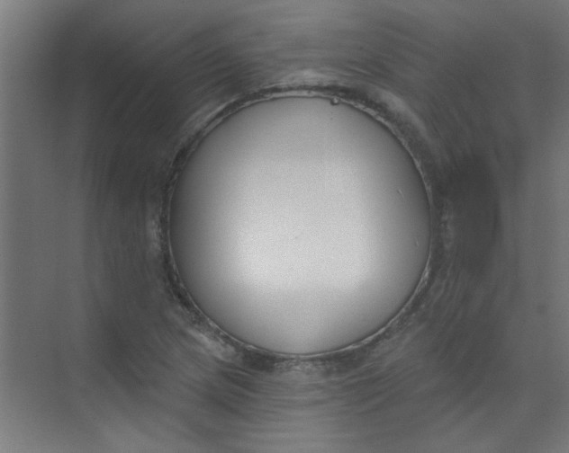 X0000073971217200609051836