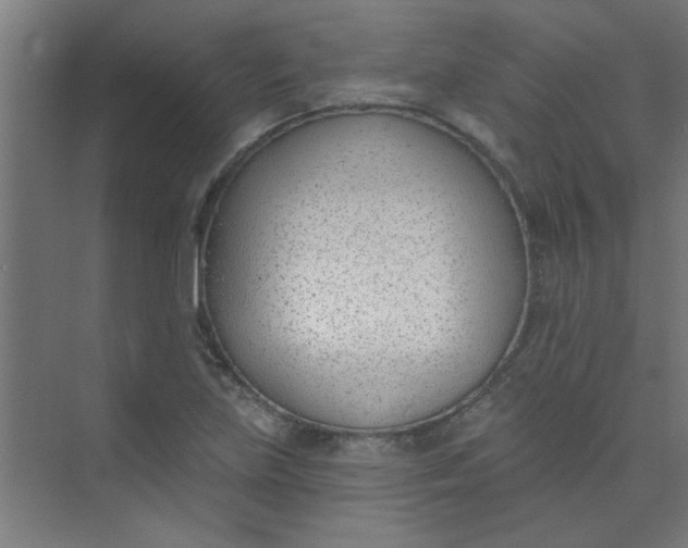 X0000073971219200609051836