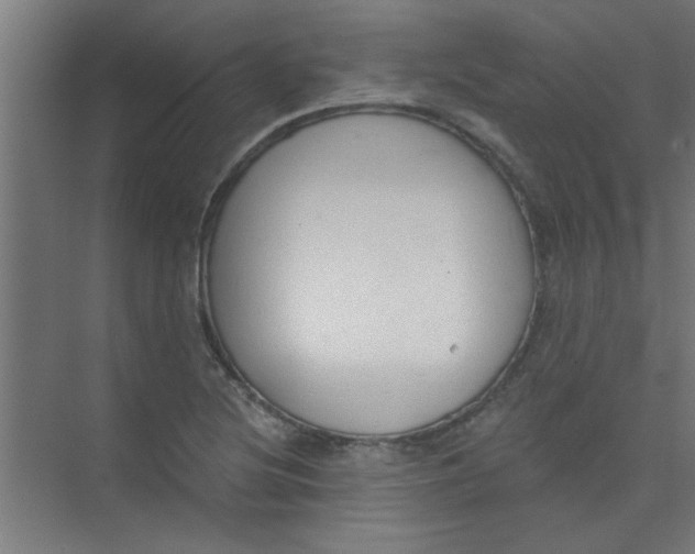 X0000073971220200609051836