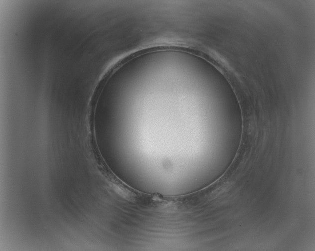 X0000073971222200609051836