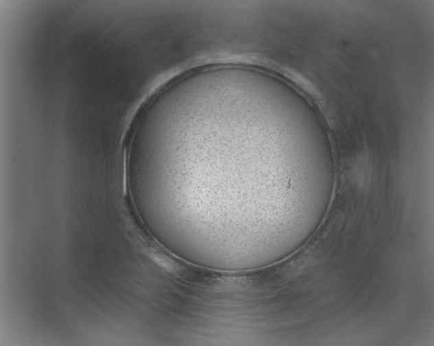 X0000073971223200609051837