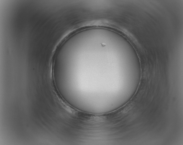 X0000073971224200609051837