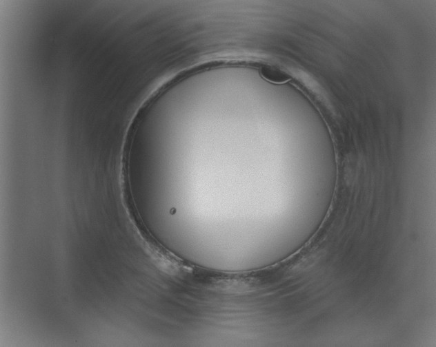 X0000073971229200609051837