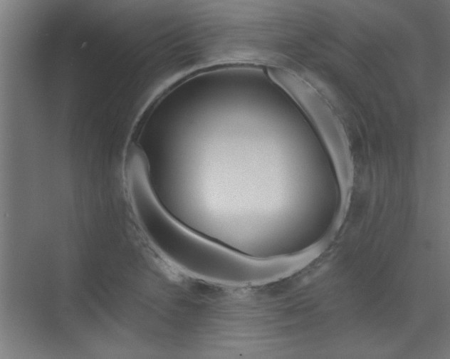 X0000073971230200609051837