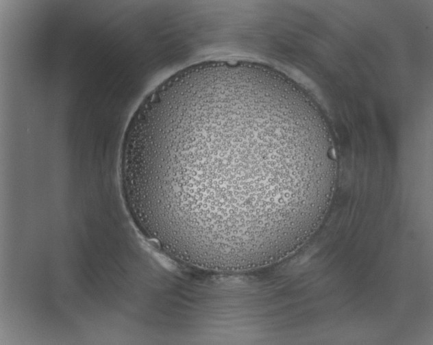 X0000073971231200609051837