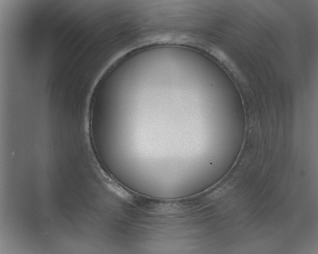 X0000073971232200609051837