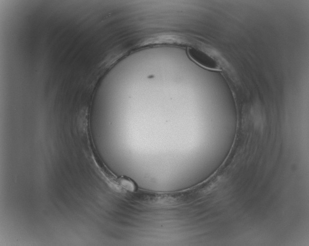 X0000073971233200609051837