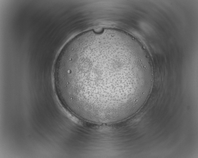 X0000073971235200609051837