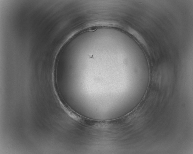 X0000073971237200609051837