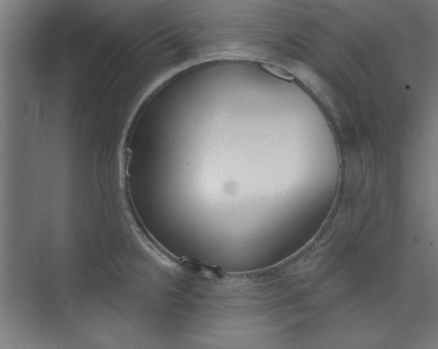 X0000073971238200609051837