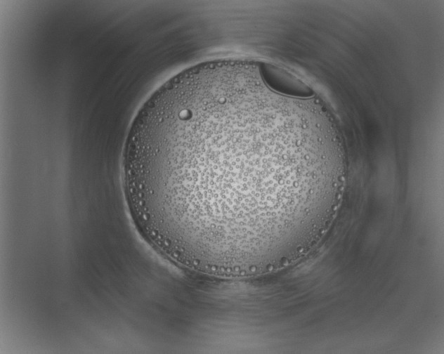 X0000073971239200609051837