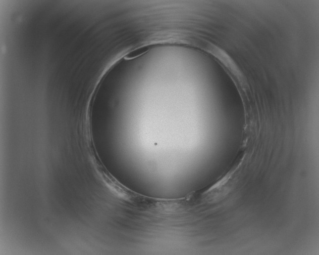 X0000073971242200609051837