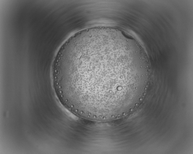 X0000073971243200609051837