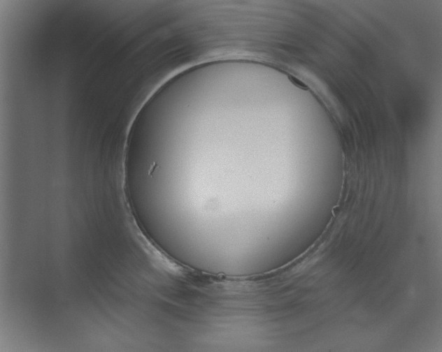 X0000073971244200609051837