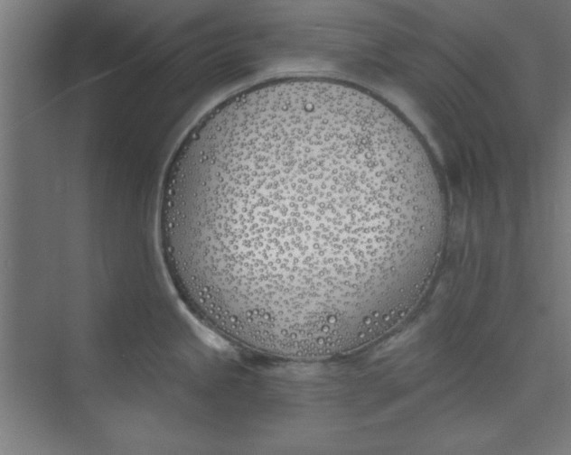 X0000073971245200609051837