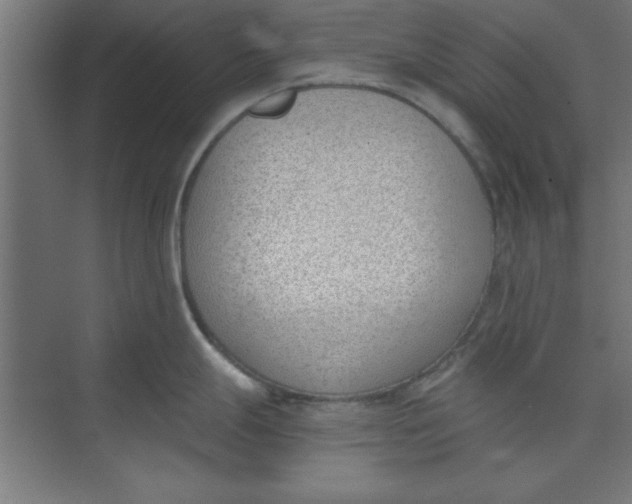 X0000073971247200609051837