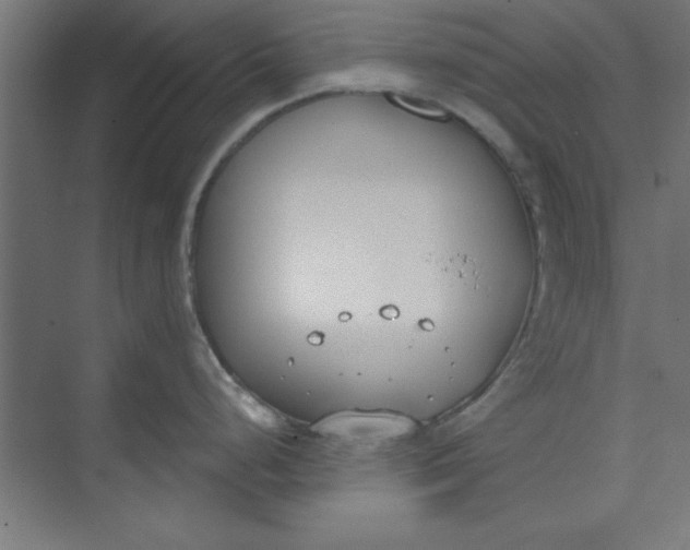 X0000073971248200609051837