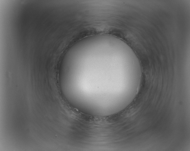 X0000073971249200609051836