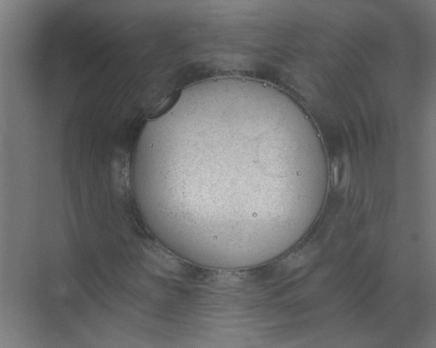 X0000073971251200609051836