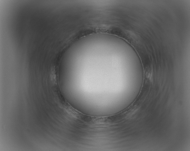 X0000073971252200609051836