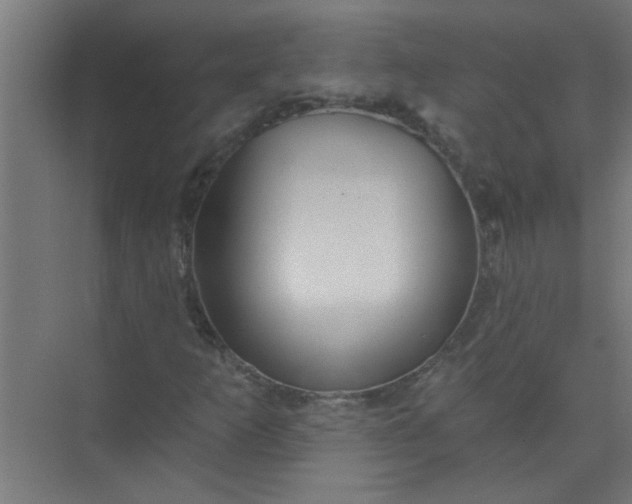 X0000073971253200609051836