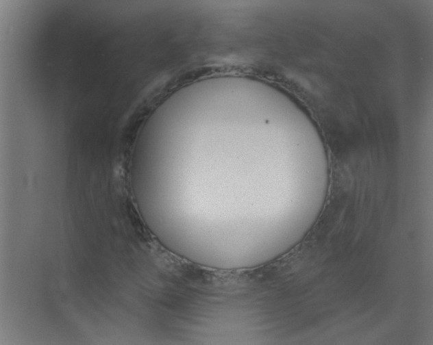 X0000073971254200609051836