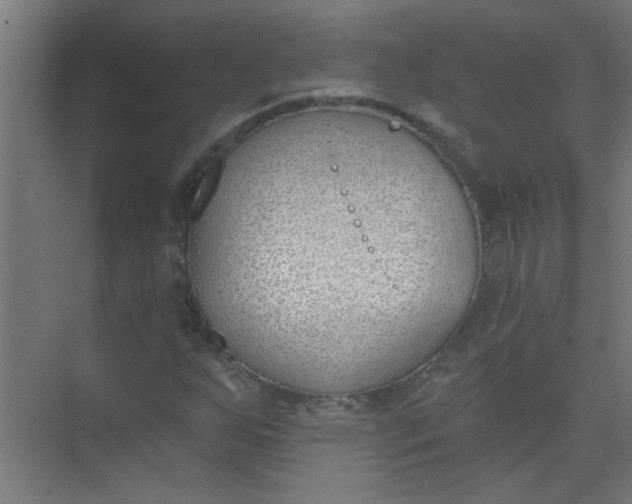 X0000073971255200609051836