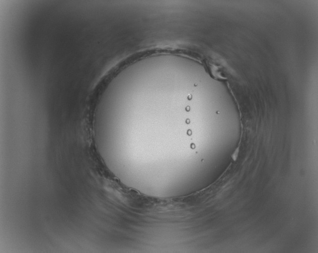 X0000073971256200609051836