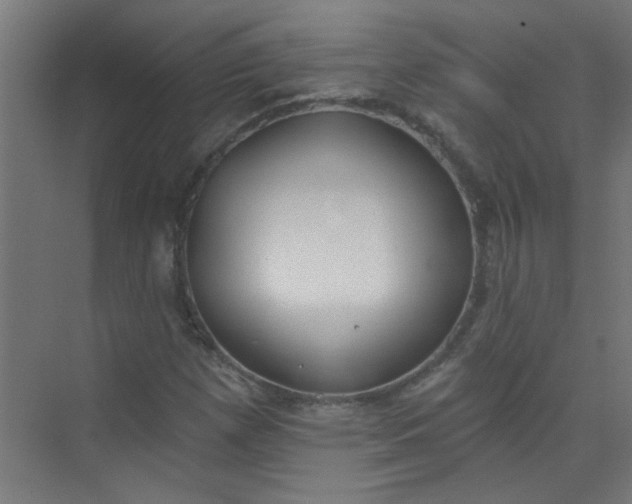 X0000073971257200609051836