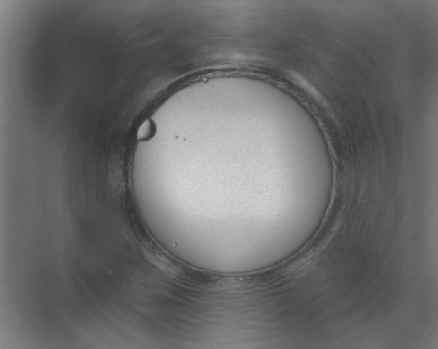 X0000073971259200609051836