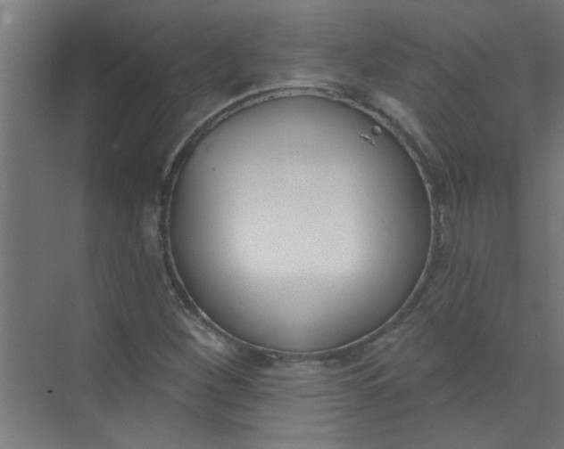 X0000073971260200609051836