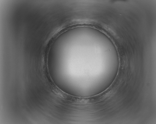 X0000073971261200609051836