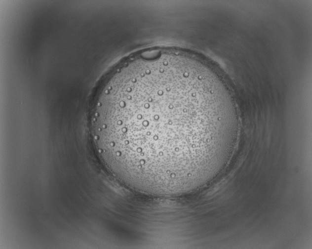 X0000073971263200609051836