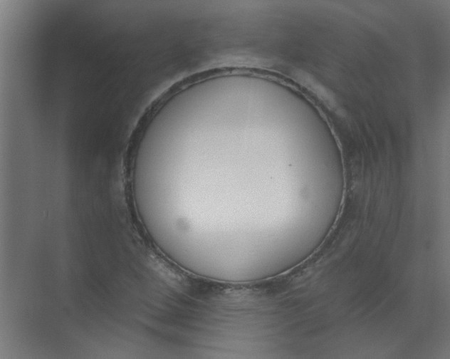 X0000073971264200609051836