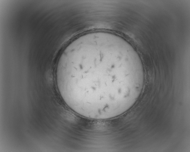 X0000073971266200609051836