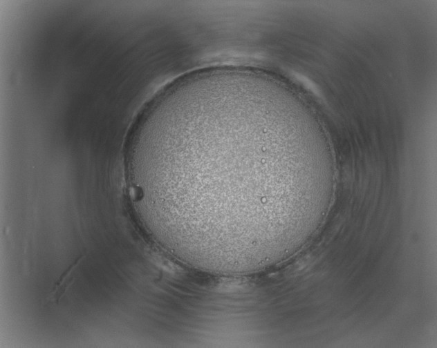 X0000073971267200609051836