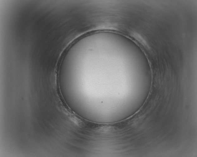 X0000073971268200609051836