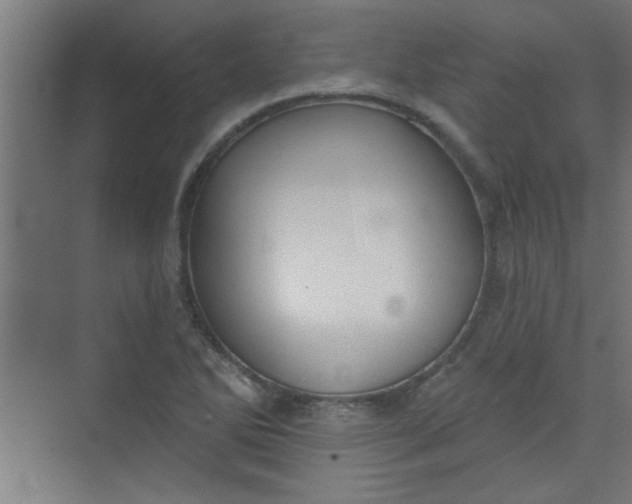 X0000073971270200609051836