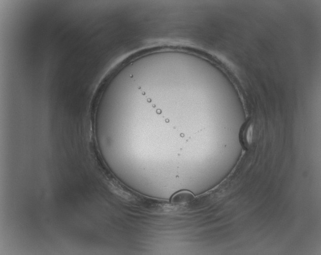 X0000073971271200609051836