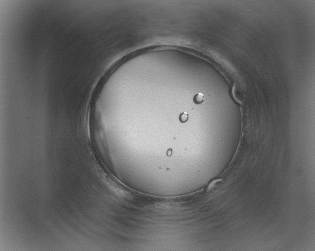 X0000073971272200609051836