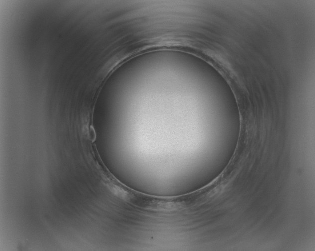 X0000073971273200609051836