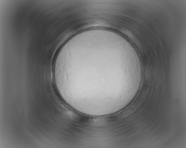 X0000073971274200609051836