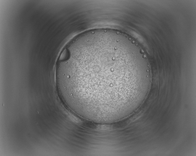 X0000073971275200609051836