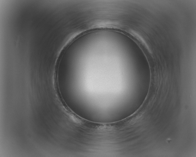 X0000073971277200609051836